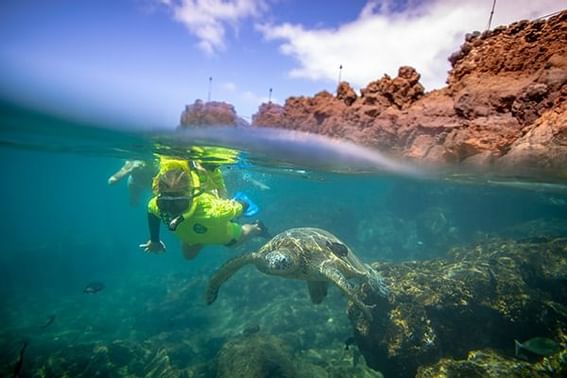 Hale huakai-snorkel at Ka'anapali Beach Hotel Hawaii