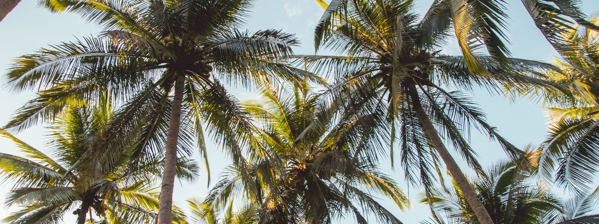 Imagine Drift Booking.com Traveller Review Awards 2021