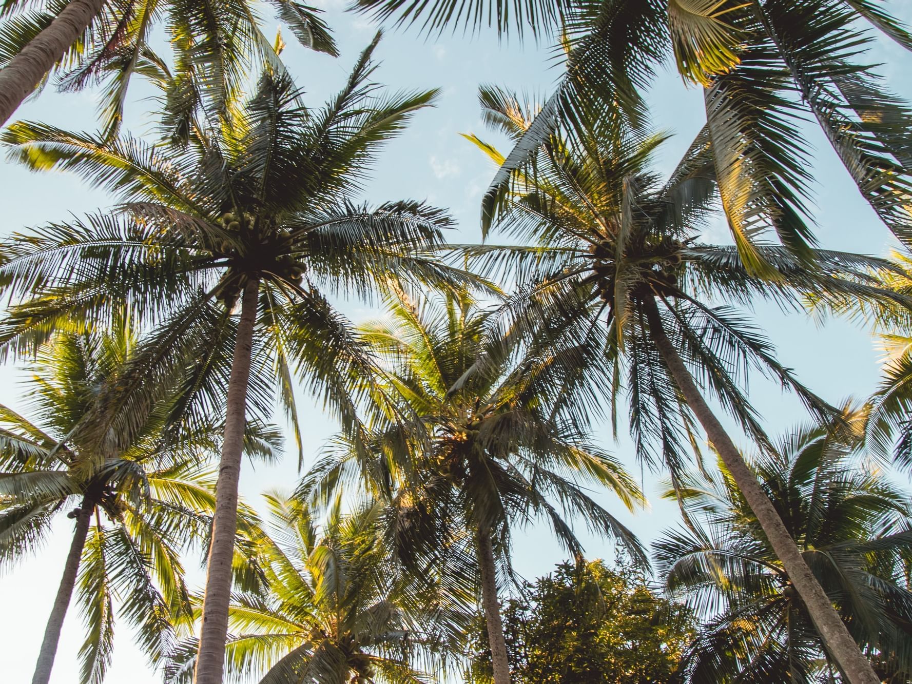 Imagine Drift Booking.com Traveller Review Awards 2021