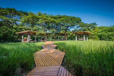 Wooden walkway leading to pavilions in lush green El Mangroove Spa at El Mangroove Hotel