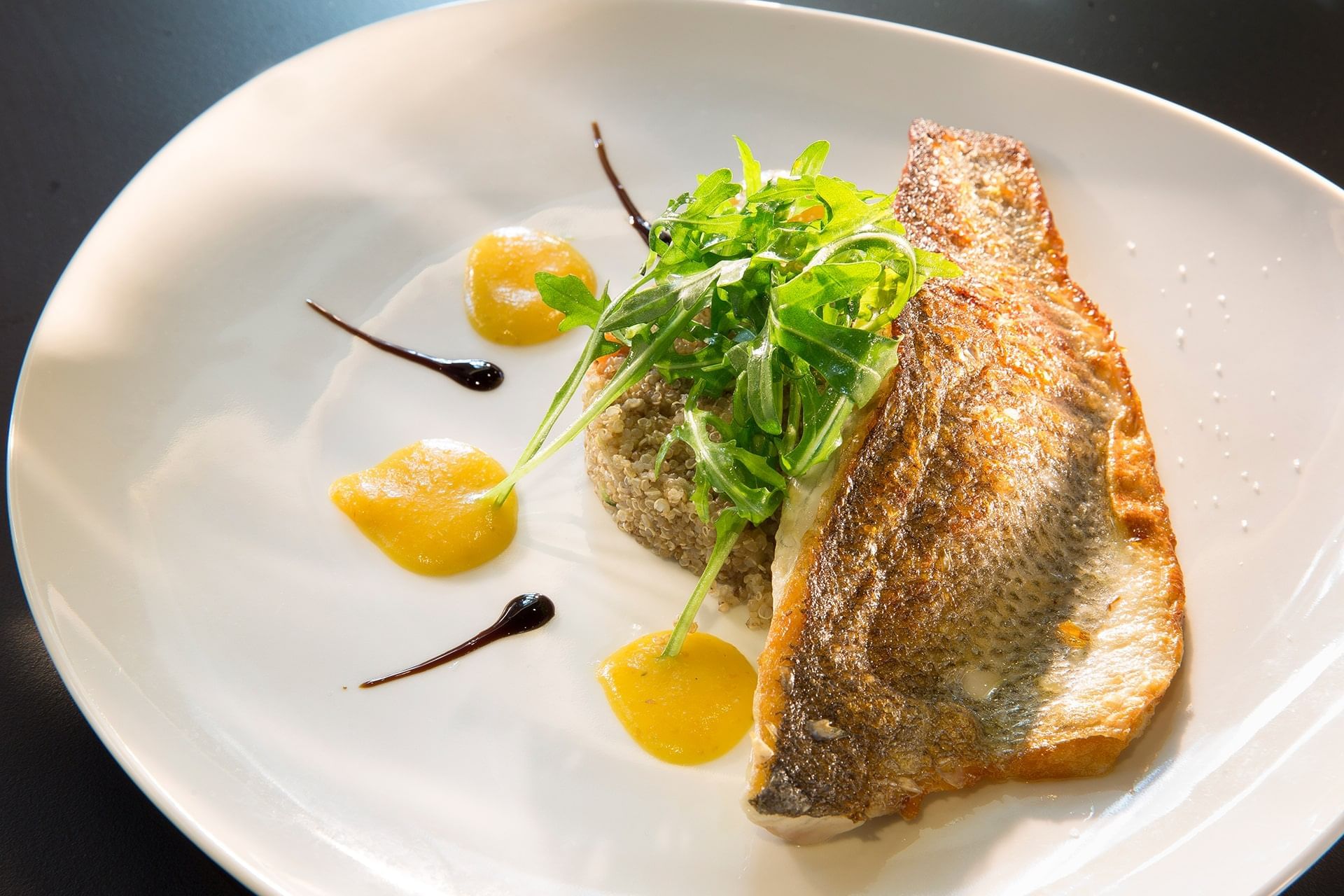 Gros plan d'un plat de saumon servi à l'Oceania Paris Roissy CDG