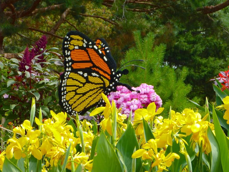 Colorful Lego butterfly sculpture among vibrant yellow flowers with greenery in Legoland near DAMAC Hotels & Resorts