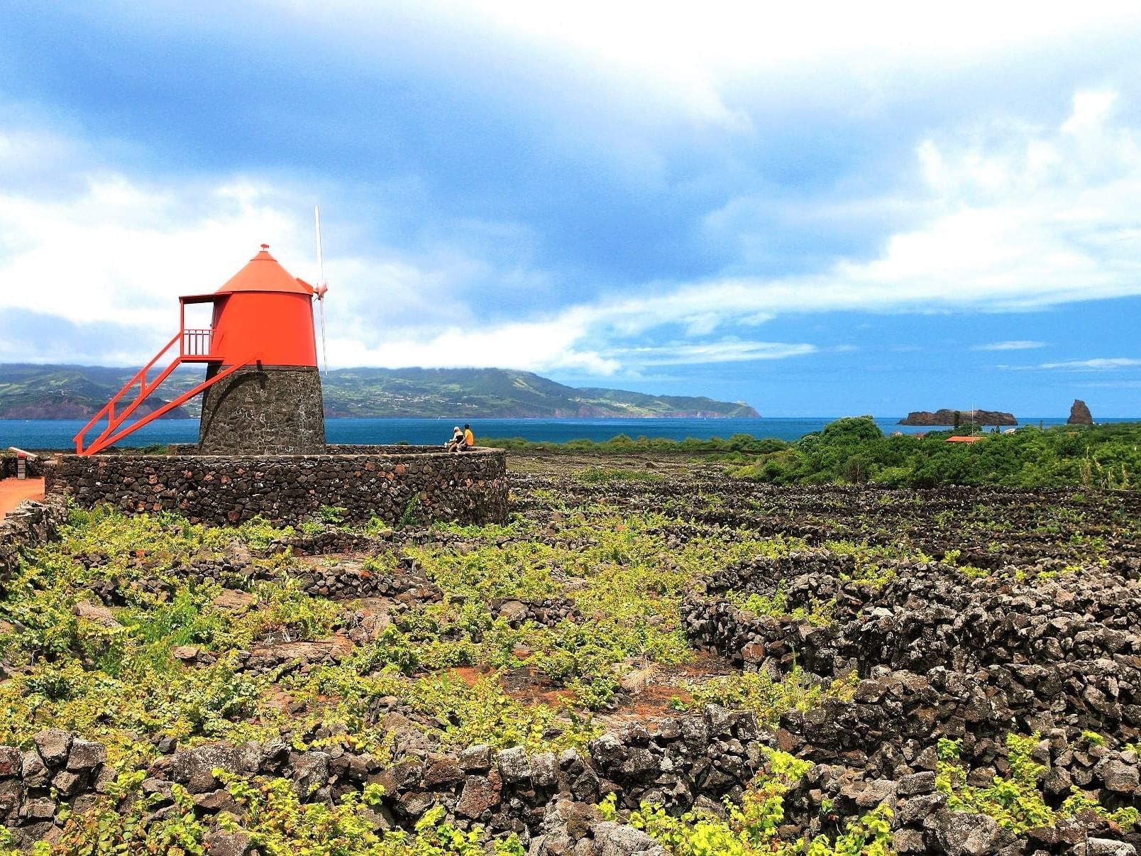 Landscape of the Pico Island Vineyard Culture