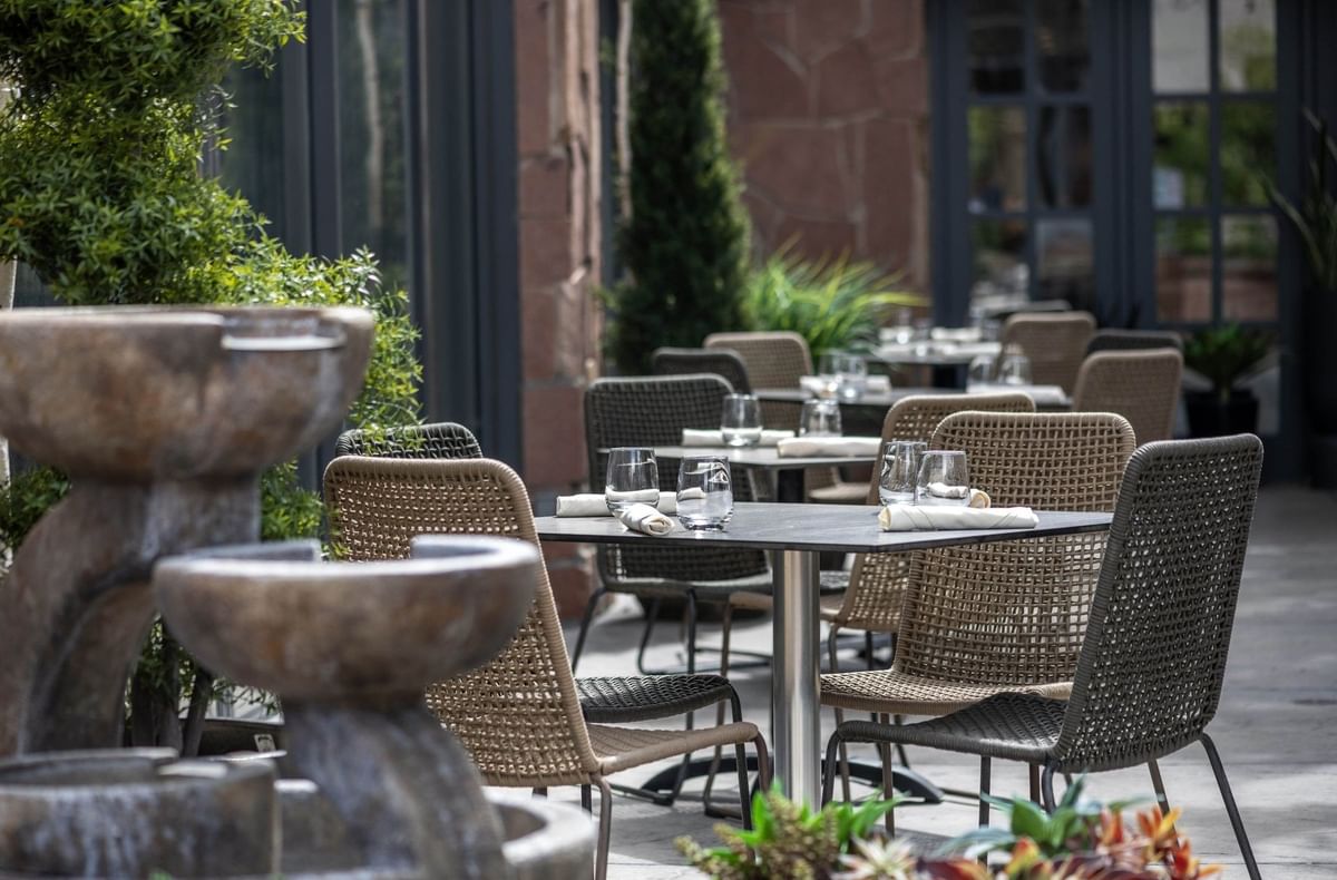 Woven chairs by tables with white linens under leafy green tree branches in Gattara Restaurant & Patio at Warwick Denver