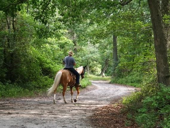 man riding a horse down dirt path