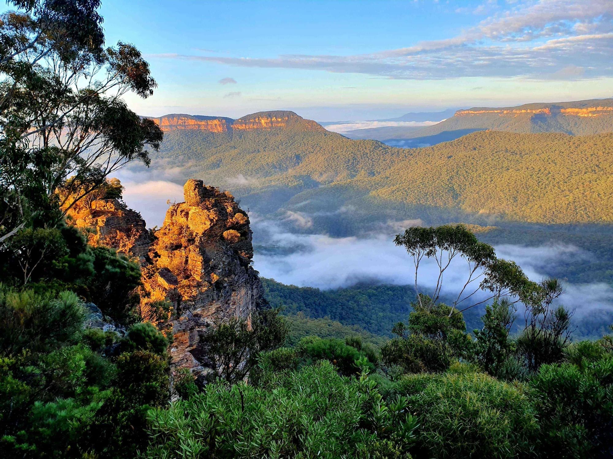 Blue Mountains near Fullerton Group