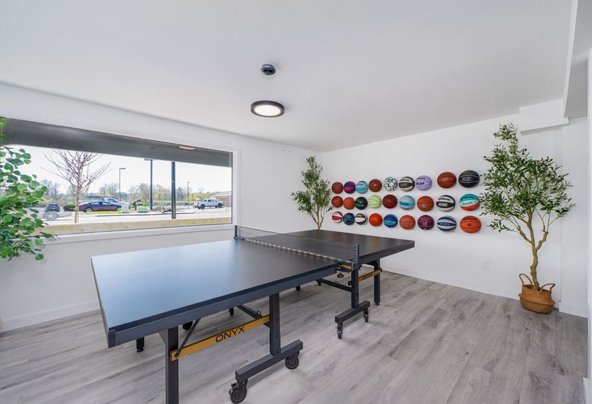 Professional ping pong table near a large window in the Centralia game room at The Varsity South