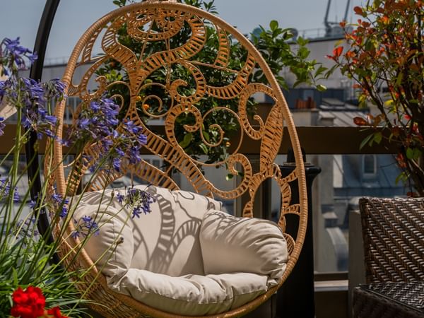 terrace bar rooftop