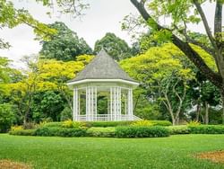 View of the Botanical Gardens near Paradox Hotel Singapore