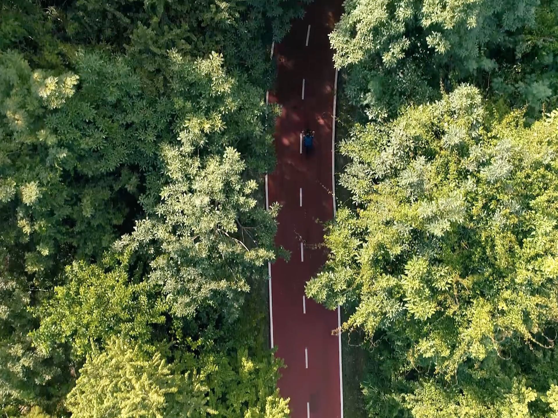 Aerial view of a biking path near Cala de Mar Resort