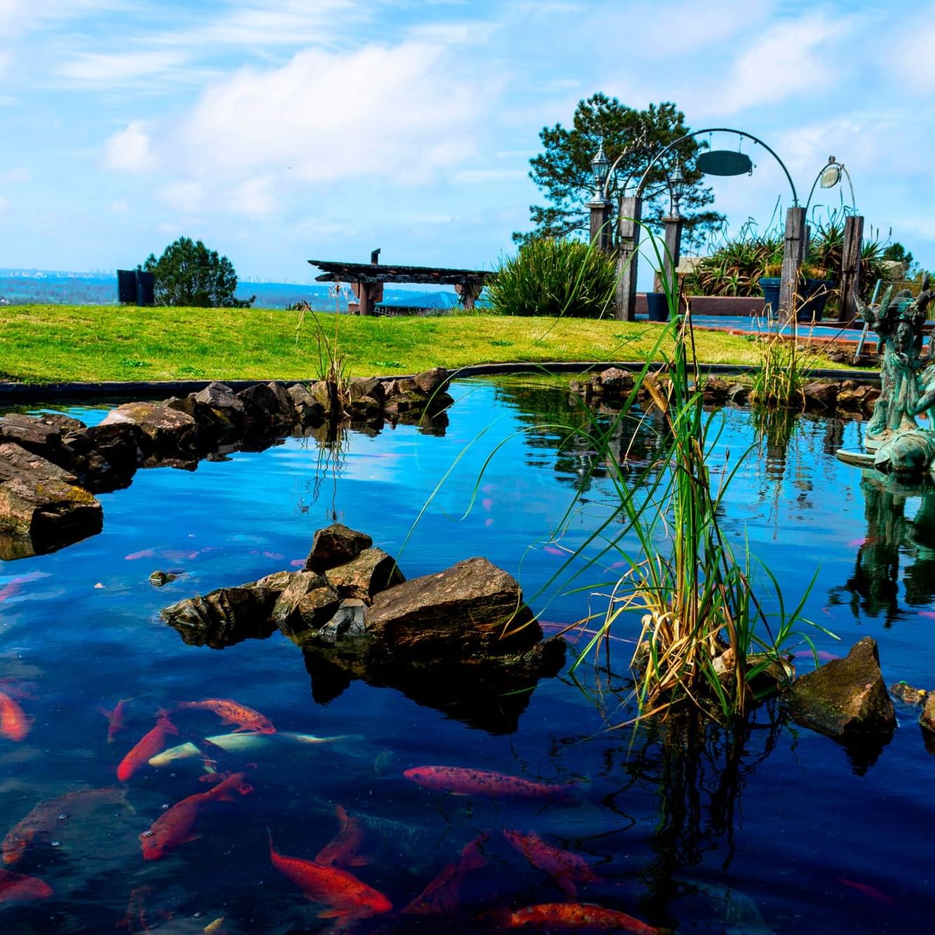 A beatiful pond with fishes at Las Cumbres Boutique Hotel
