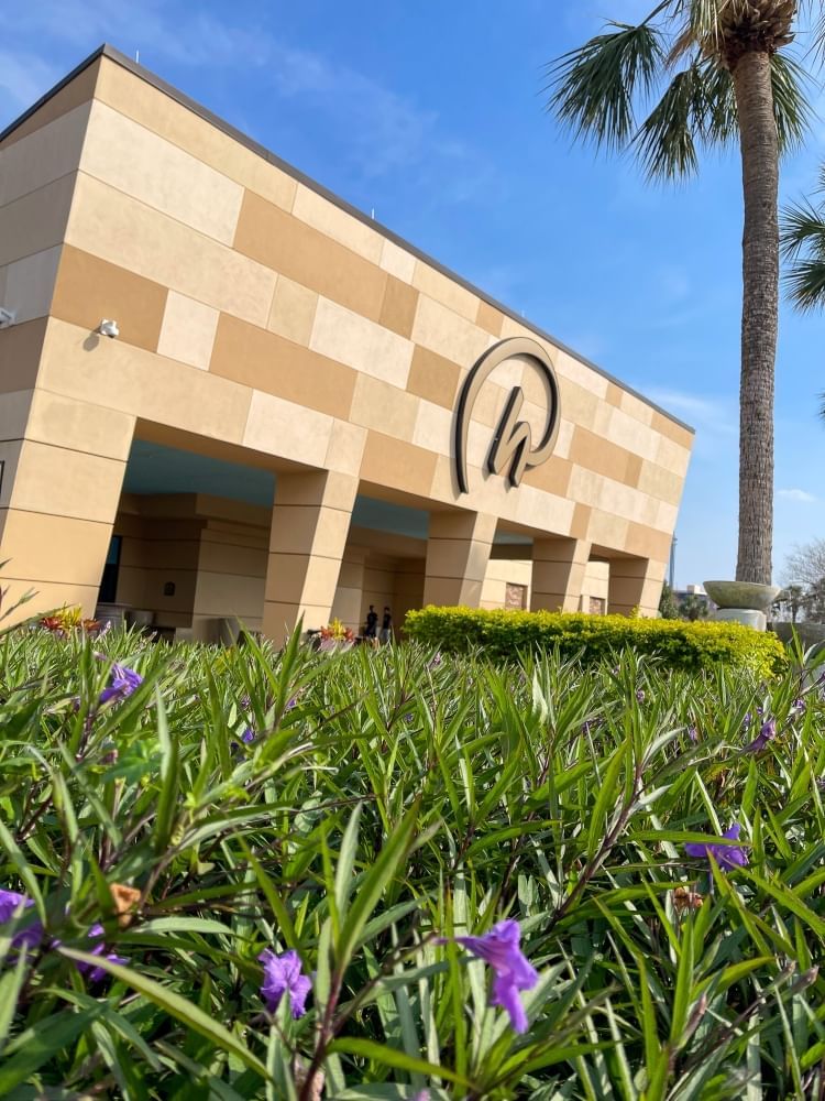 The front entrance of Rosen Inn International with the Rosen Hotels & Resorts logo and greenery with purple flowers in the foreground. 