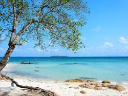 Swing on a tree by the beach in Rayong near Hop Inn Hotel