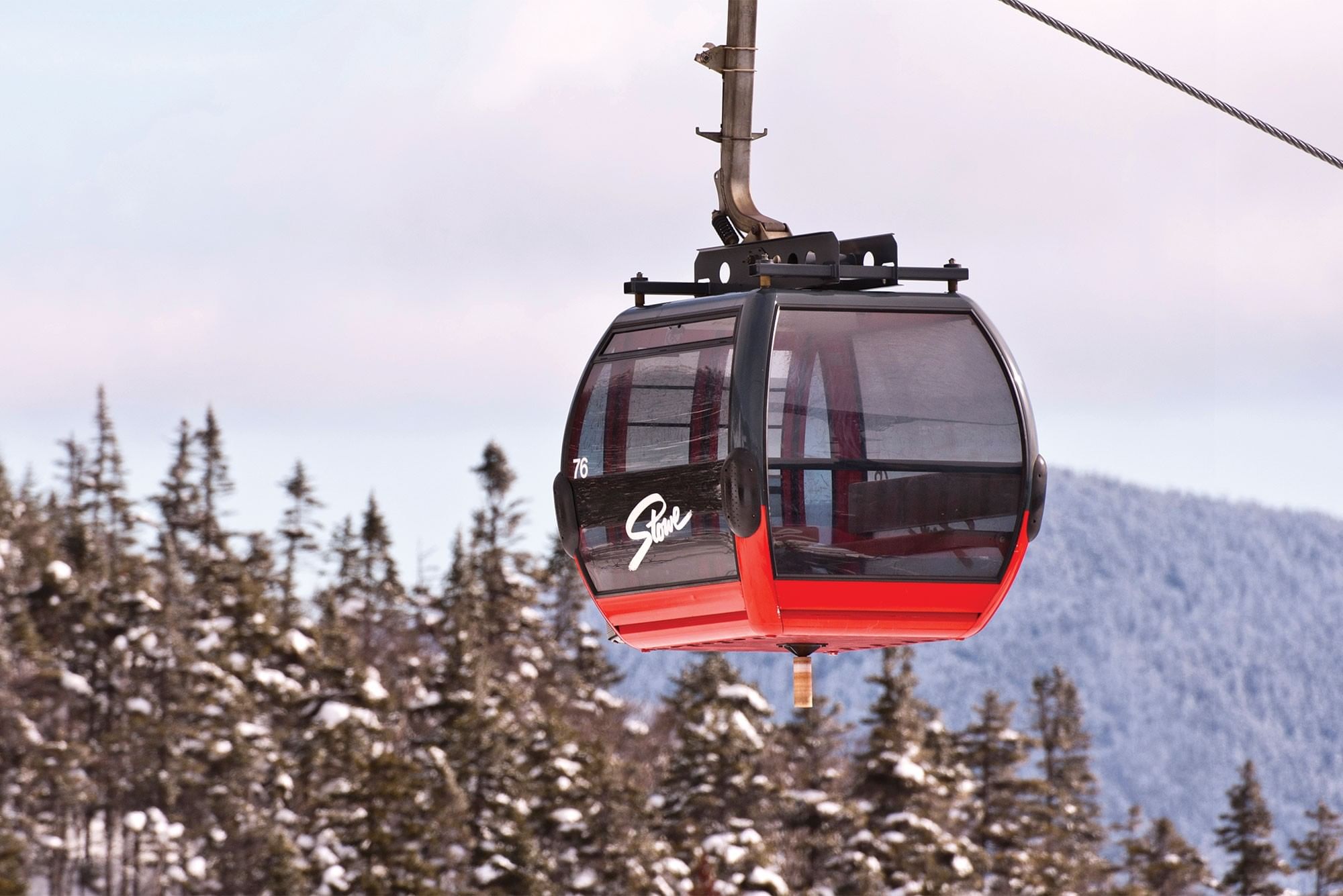 Top Dog of Topnotch - Topnotch Resort