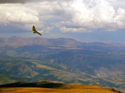 Paragliding Madonie Regional Natural Park near Honor’s Haven