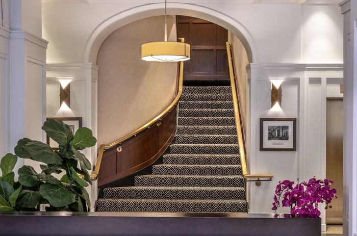 Reception lobby with a curved staircase, patterned carpet, and gold railings by a leafy plant at Warwick Allerton Chicago