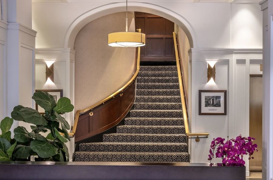 Reception lobby with a curved staircase, patterned carpet, and gold railings by a leafy plant at Warwick Allerton Chicago
