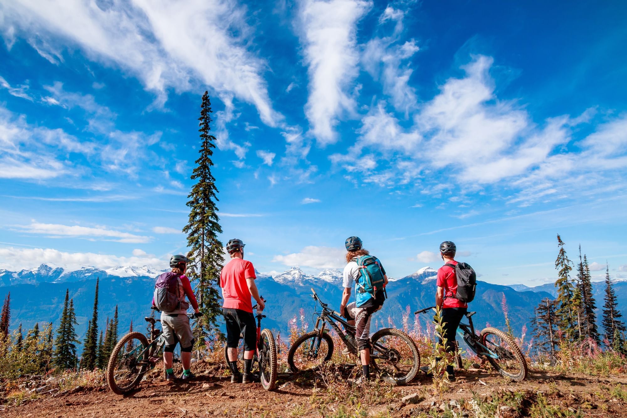 Cypress creek mountain bike trails hot sale