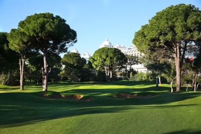 Titanic Golf Club Pines and grass