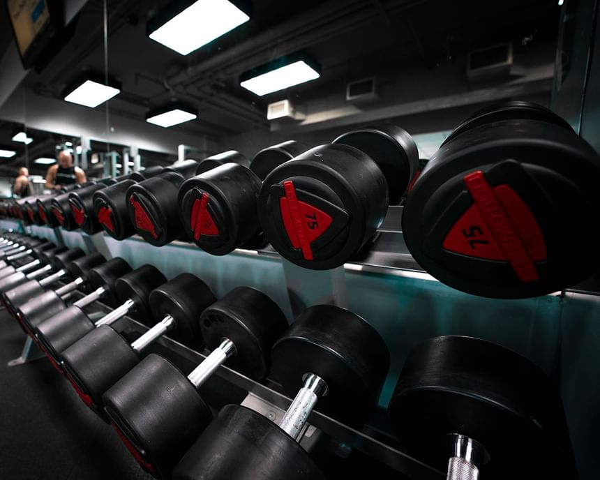 Close-up of a dumbbell rack in fitness center at Hotel 43