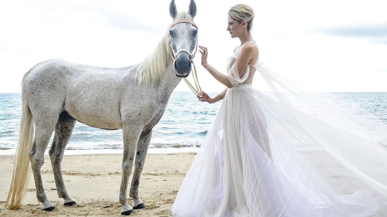 A Bride with a horse at Pullman Palm Cove Sea Temple Resort & Spa