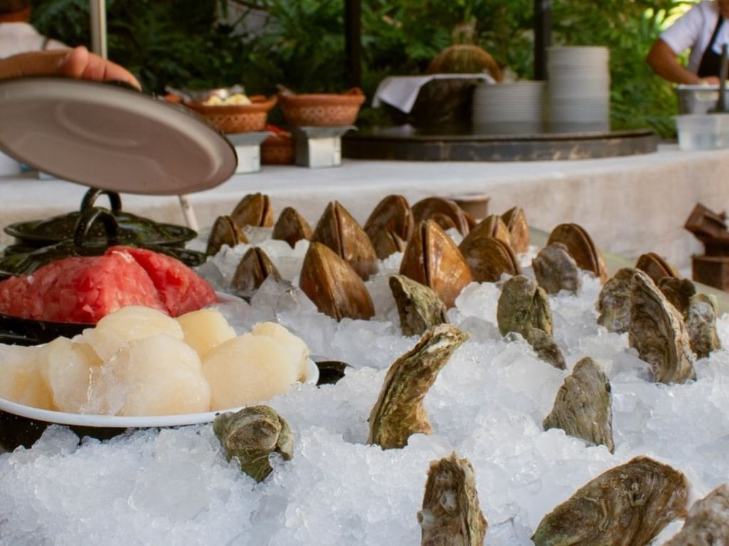 Sunday Brunch Experience in San Miguel de Allende