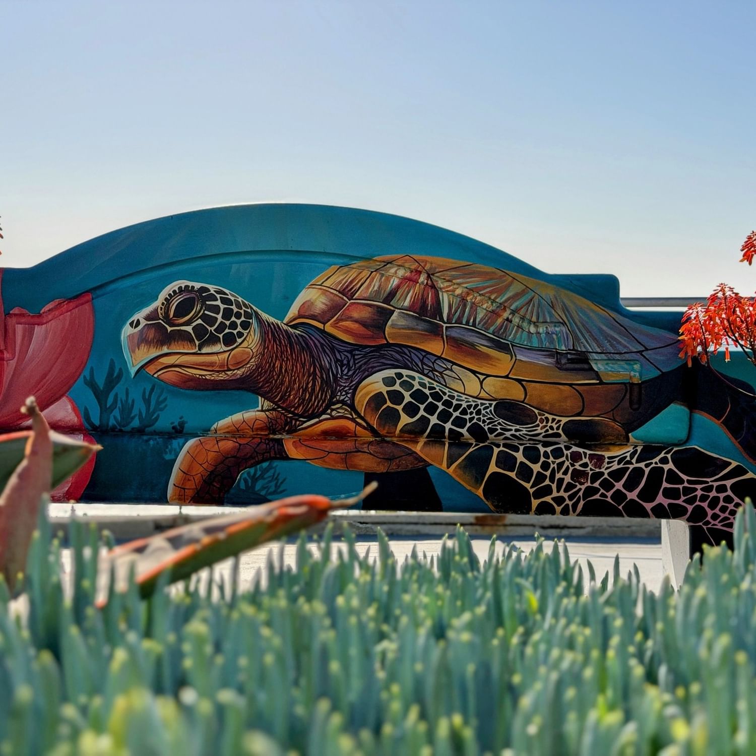 Mural on bench of sea turtle