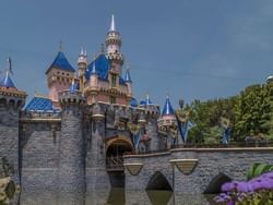Exterior view of the Disney Castle at Disneyland Park