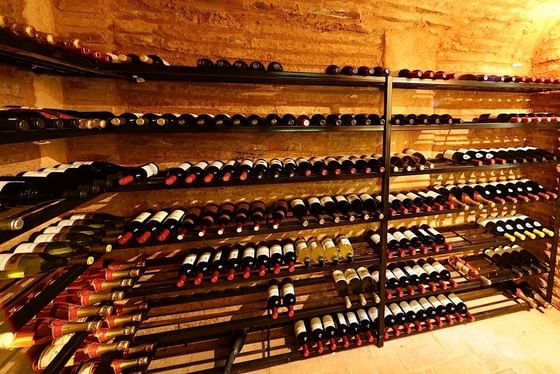 Wine cellar featuring multiple metal racks filled with various bottles of wine at Billini Hotel Historic Luxury