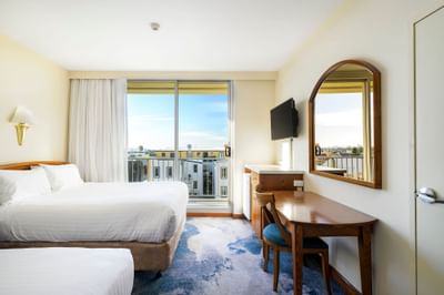 City Room with Queen + Single