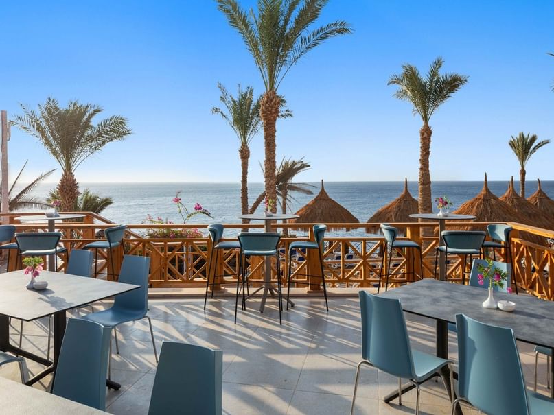 Outdoor beachfront restaurant with blue chairs and tables, palm trees, and ocean view.