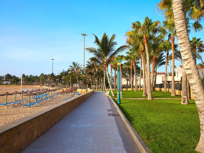 Markt Caleta De Fuste