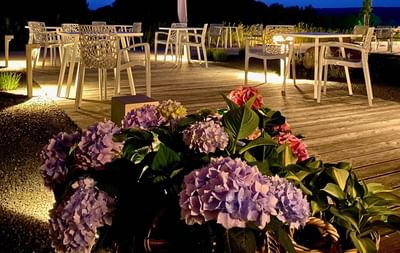 Outdoor dining with chairs on wooden flooring and blooming hydrangeas at the Avaneo Hotel, one of the hotels in Marktredwitz