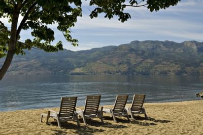 Cove Beach Lounge Chair