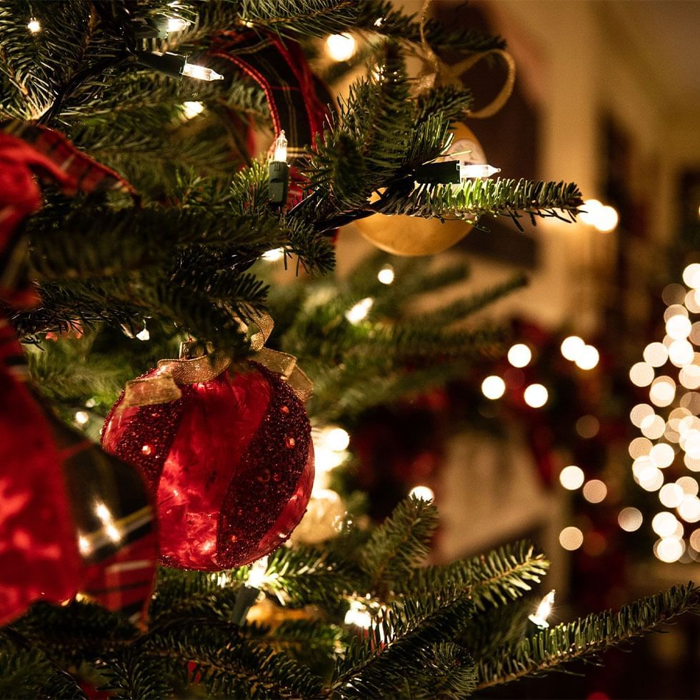 Close-up of a decorated Christmas tree with ornaments, lights, and a blurred festive background.