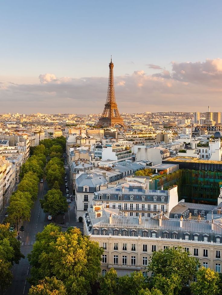 Aerial view of Paris cityscape with the Eiffel Tower and tree-lined avenues.