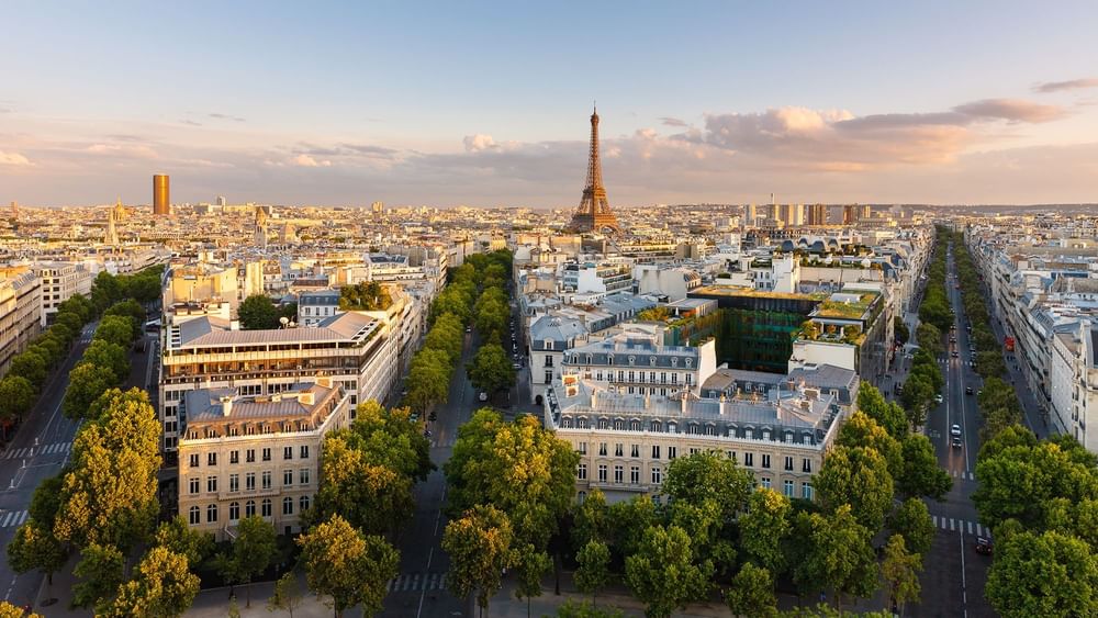 Aerial view of Paris cityscape with the Eiffel Tower and tree-lined avenues