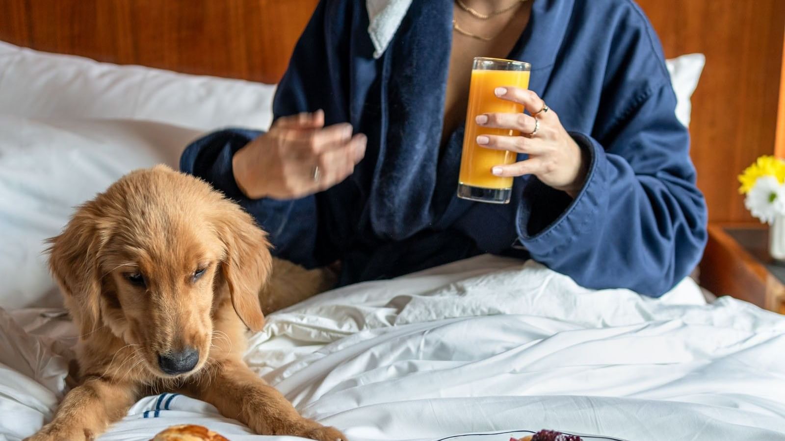 Woman having breakfast with a golden retriever beside fresh pastries and orange juice in a bed at Gansevoort Meatpacking NYC