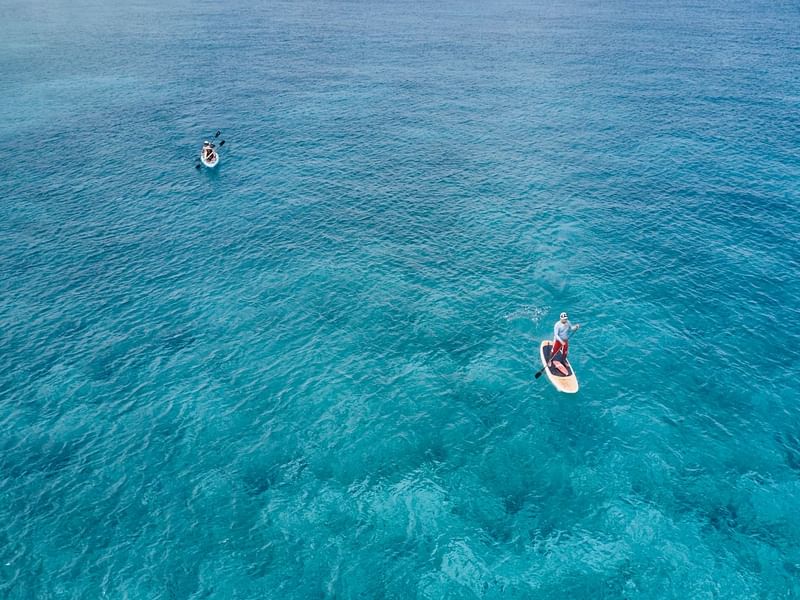 Aerial view of people kayaking & paddleboarding near The Explorean Cozumel