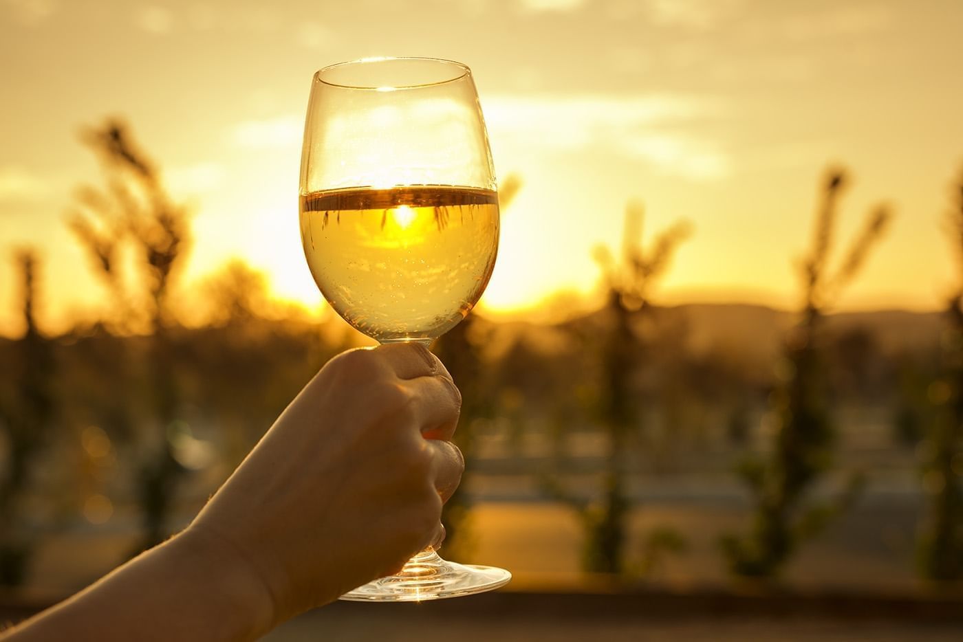 Wine glass held up with the sun setting in the distance