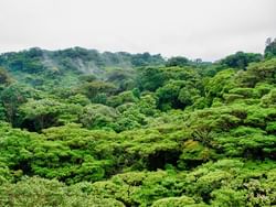 Landscape view of Selvatura Park near Jaguarundi Lodge