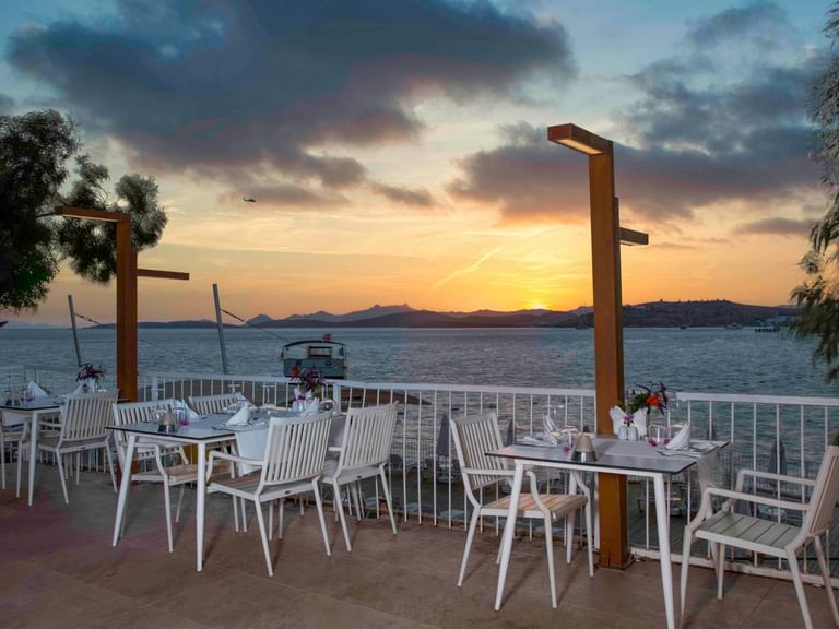 Zest Specialty Restaurant Bars & Restaurants In Bodrum