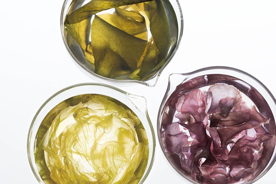 Close-up of three glass bowls of green, yellow, and reddish-purple seaweed at The Saujana Hotel Kuala Lumpur