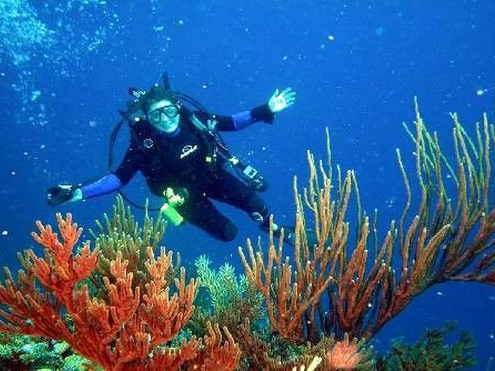 A scuba diver exploring coral reefs underwater near Hotel Isla Del Encanto