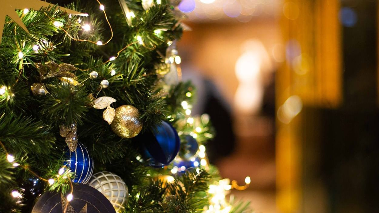 Christmas Celebration at Sofitel Sydney Wentworth