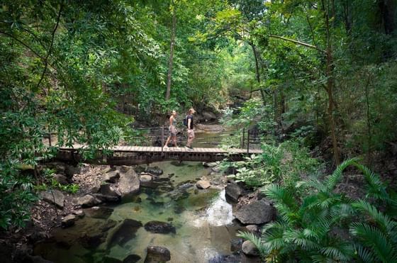 Couple crossing the bridge over the river at Hotel Rio Perdido