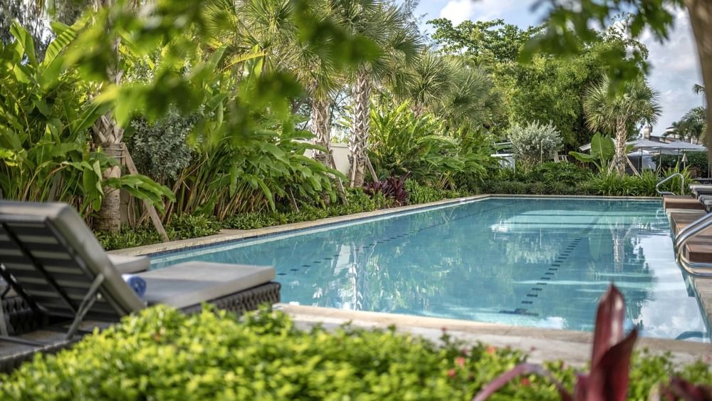 Crystal clear lap pool surrounded by lush tropical greenery and palm trees at Warwick Paradise Island Bahamas