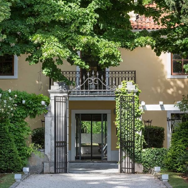 Entrance to a building with black gates, surrounded by greenery and trees with hanging vines.