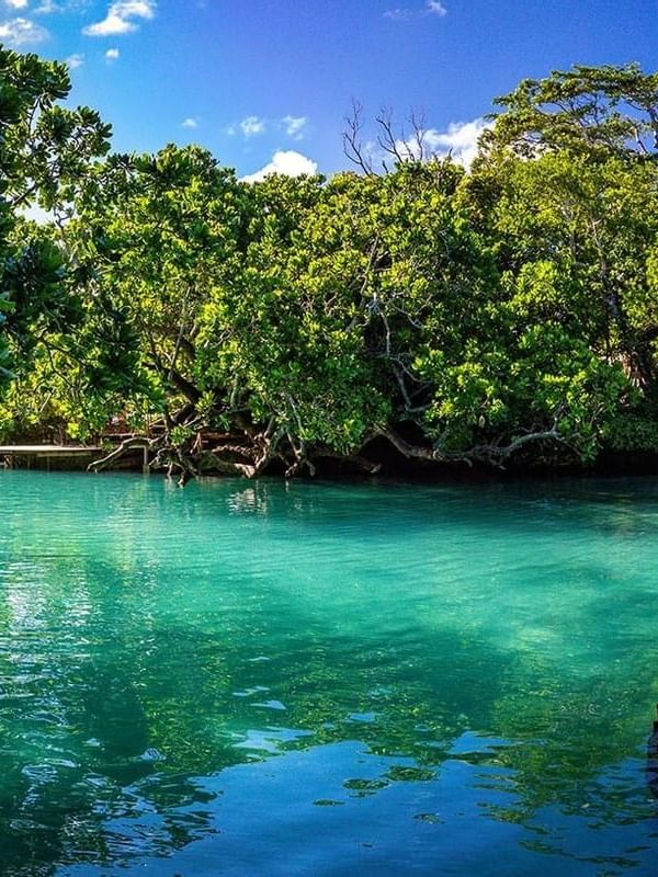 Calm Blue lagoon water surrounded by lush green tropical trees near the Warwick Le Lagon