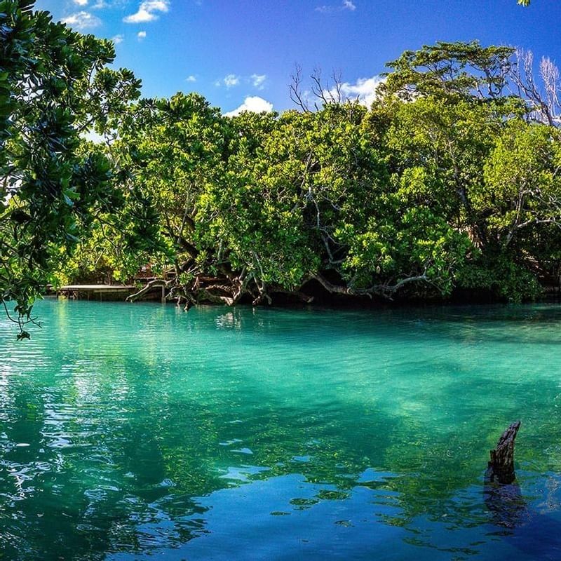 Calm Blue lagoon water surrounded by lush green tropical trees near the Warwick Le Lagon